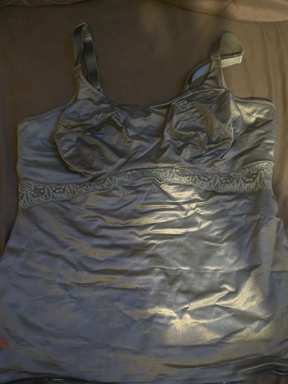 Ruby Ribbon Silver-Gray Satin Chemise with Lace Band